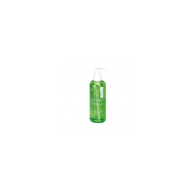 Energy Vicorva Aloe Gel 250Ml