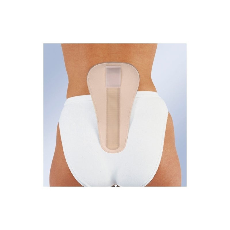 Orliman Almohadilla Lumbar De Foam Talla Única 1Ud