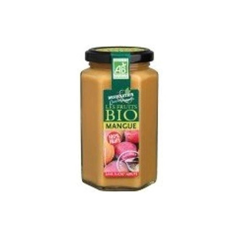 Destination Mermelada Bio Mango 300G