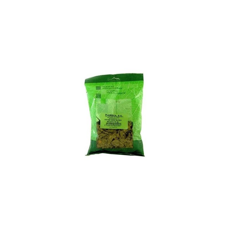 Plameca Gayuba Hoja Entera 75G