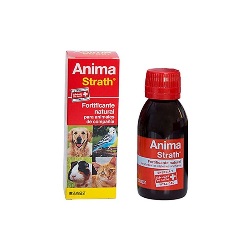 Stangest Anima Strath 100Ml