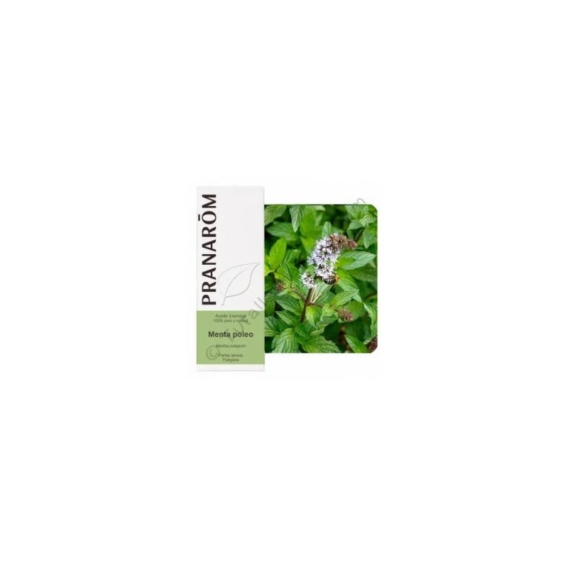 Menta Poleo 10Ml Aceite Esencial