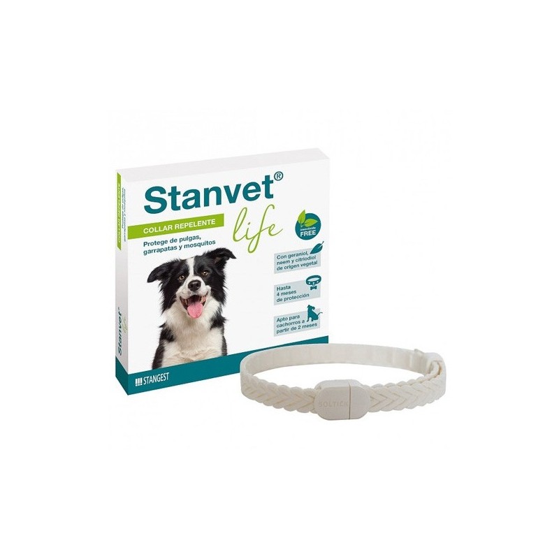 Stangest Collar Stanvest Life Perro