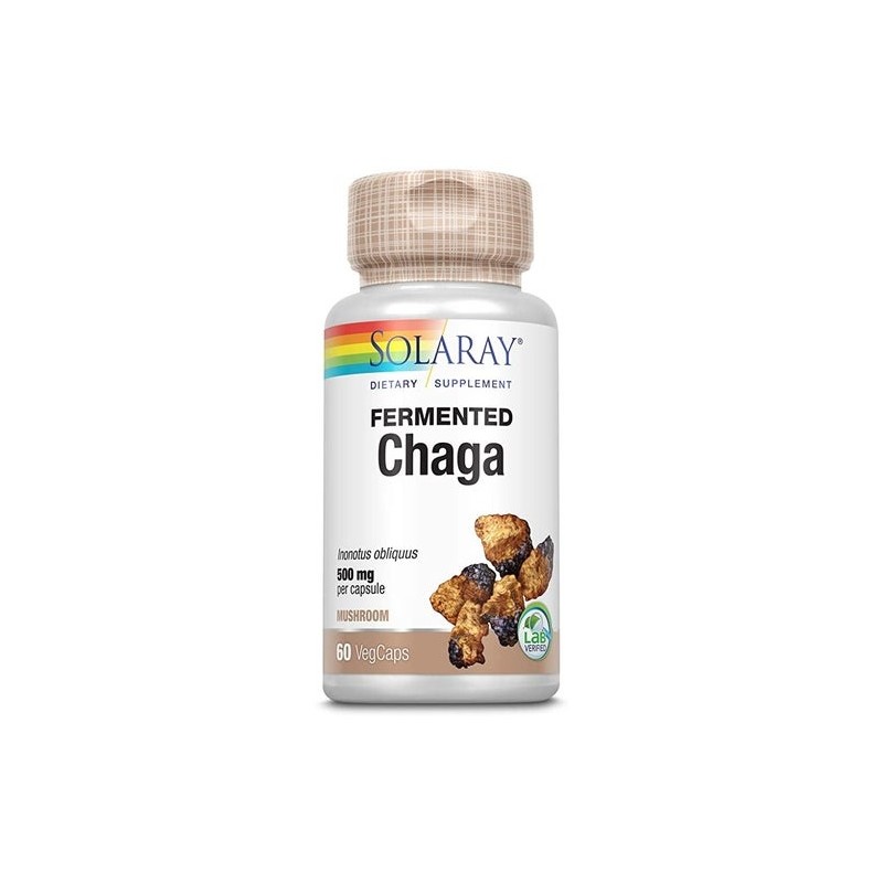 Solaray Chaga Fermented 500Mg 60Caps