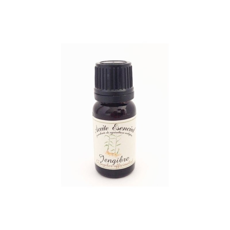 Labiatae Aceite Esencial De Jengibre 12Ml