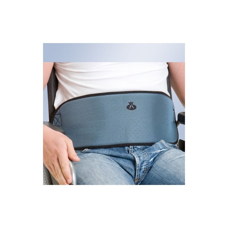 Orliman Arnes Abdomen T1 1Ud