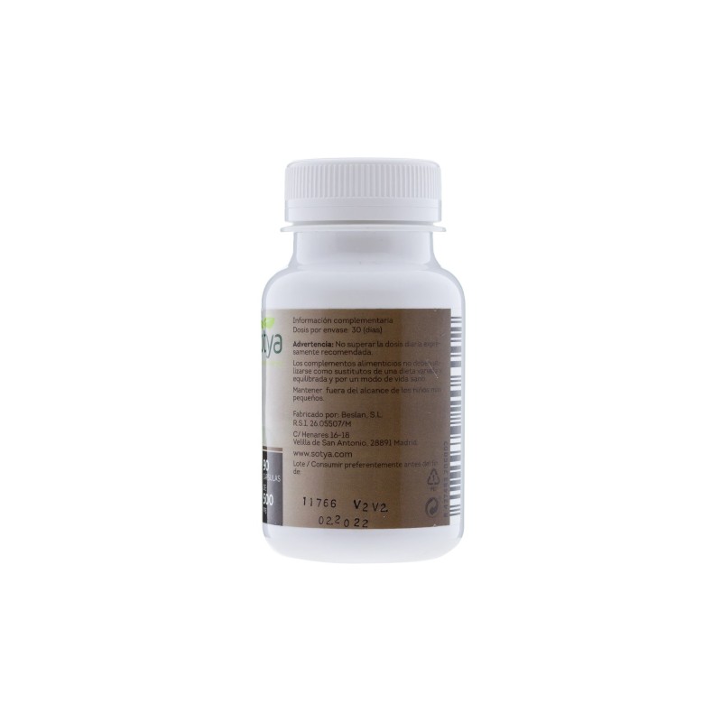 Sotya Reishi 500Mg 90Cáps